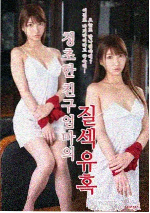 繁花电视剧